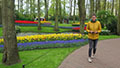 Keukenhof 2023